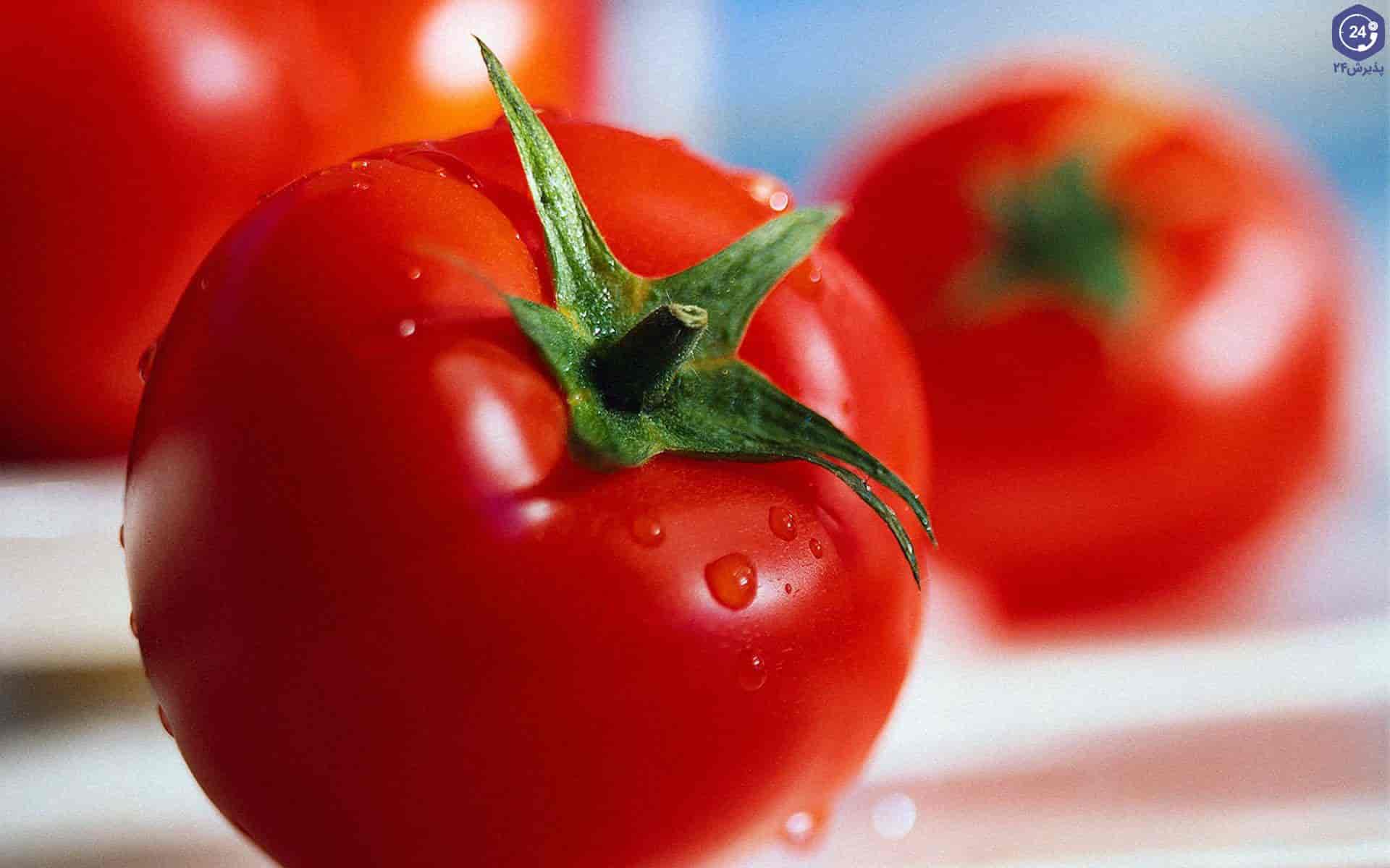 تصویر 1 از خرید و فروش گوجه قرمز ترش با شرایط فوق العاده